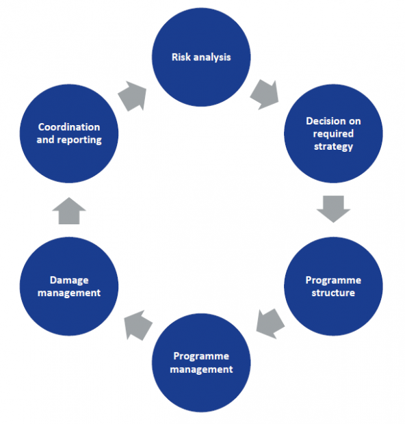 Risk Analysis Steps