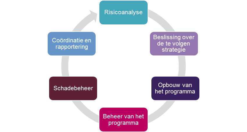 Vanbreda Risicomanagement analyseschema